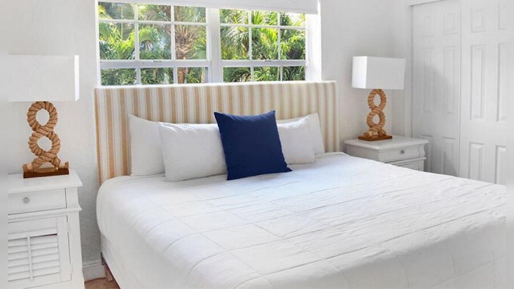 Coral Reef at Key Biscayne photo 33