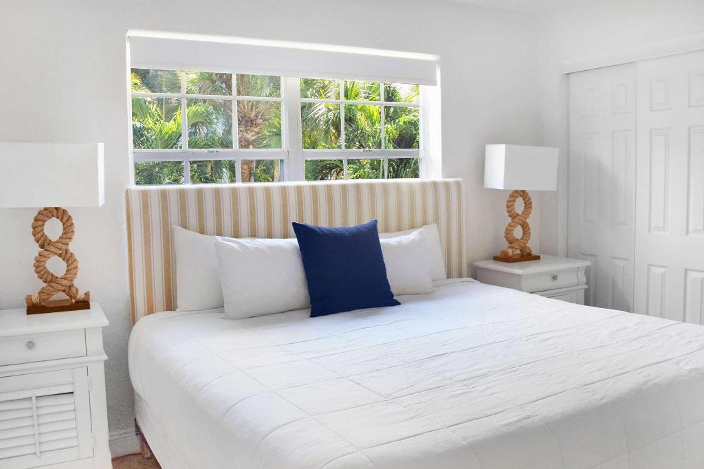 Coral Reef at Key Biscayne photo 49