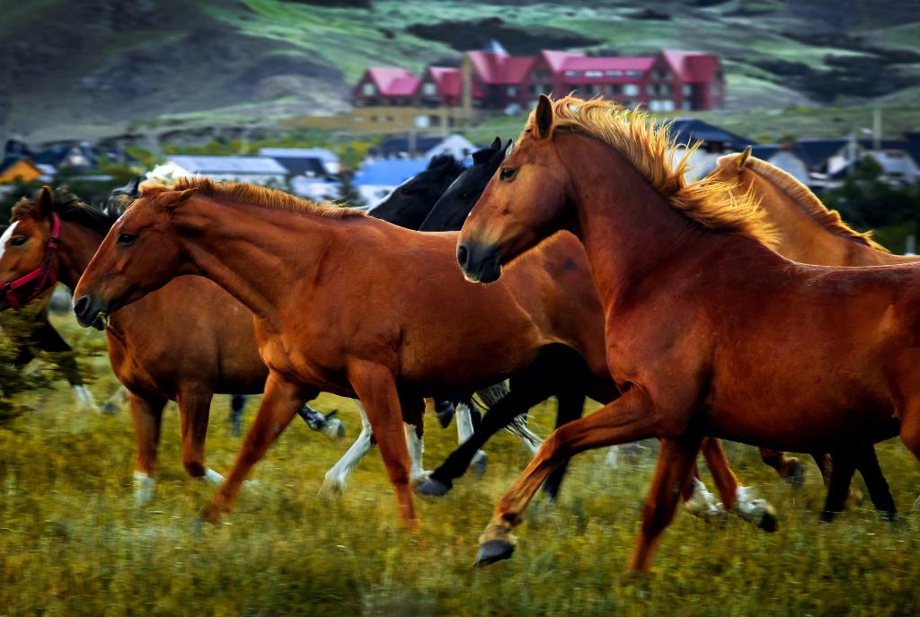 Los Cerros Don Boutique Hotel And Spa