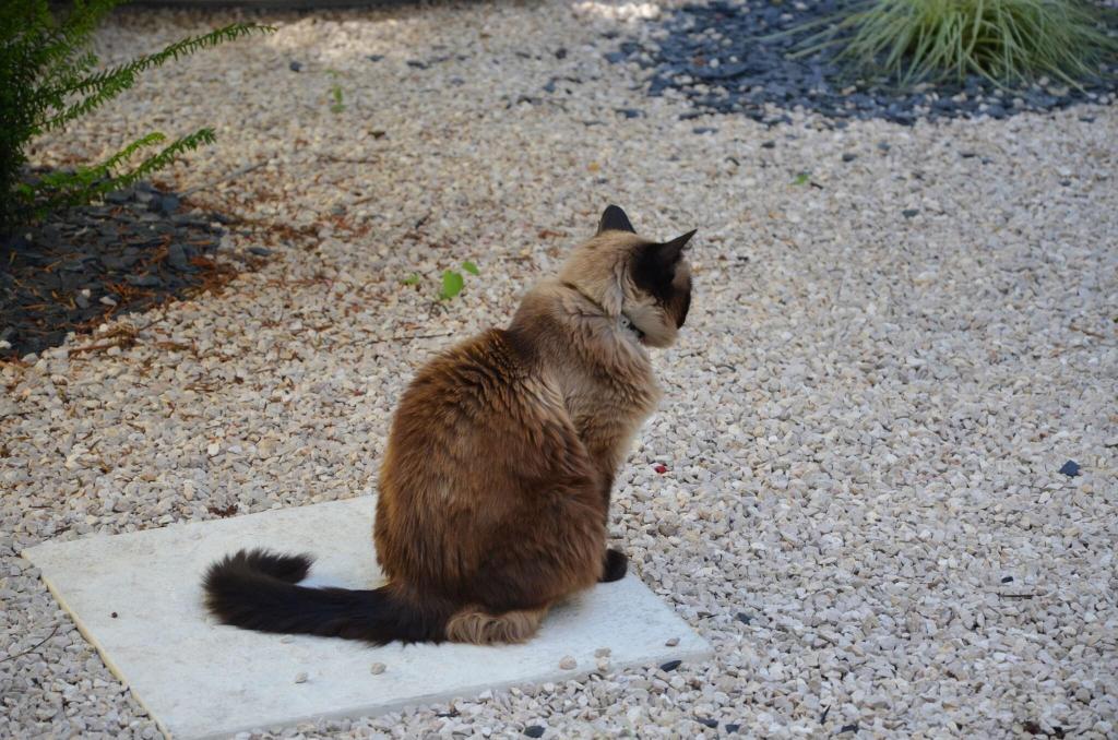 A la Villa Boucicaut