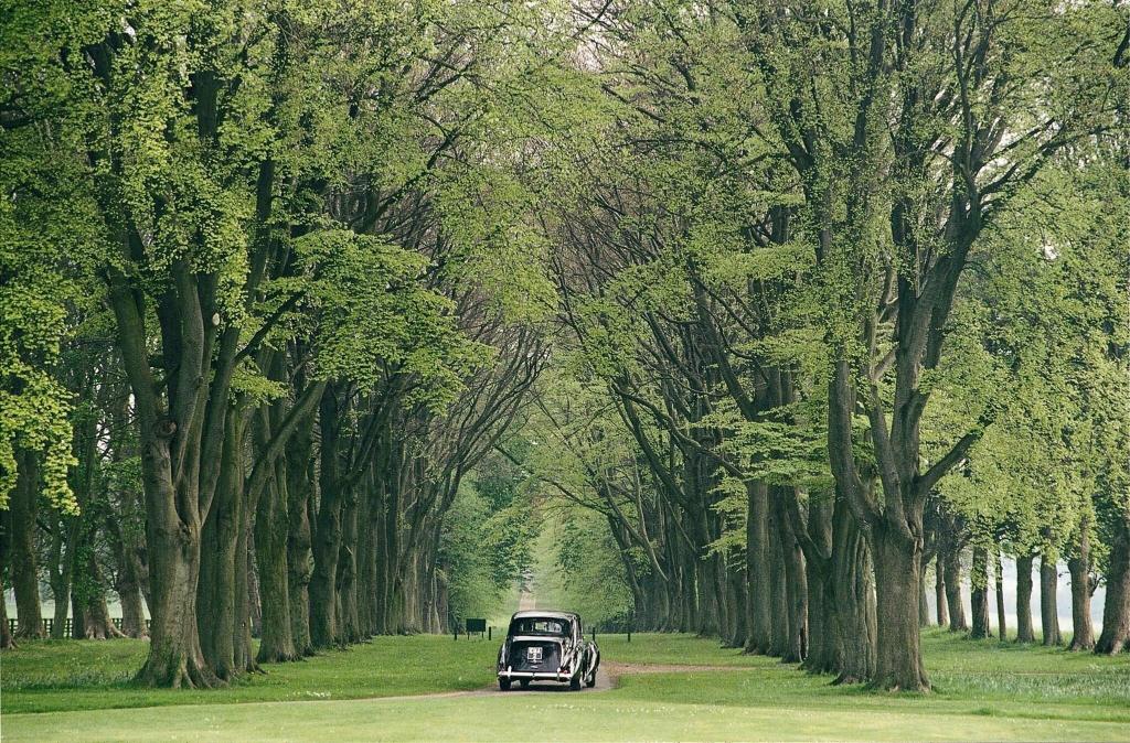 Lucknam Park, Emblems Collection