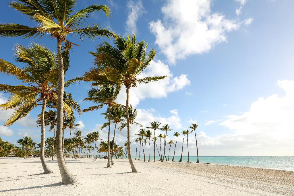 TRS Cap Cana Waterfront & Marina Hotel - Adults Only - All Inclusive photo 29