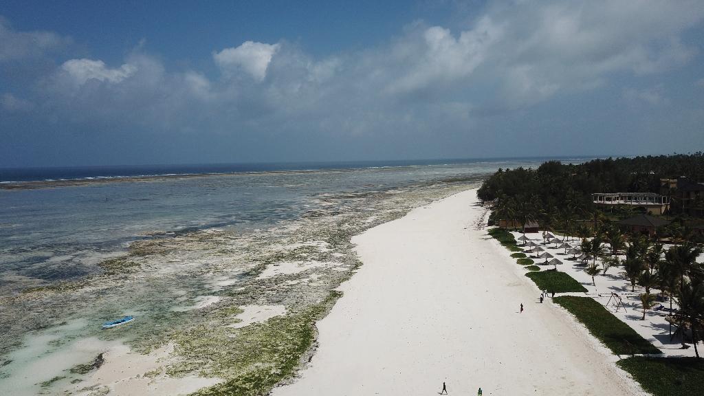 Albatross Ocean View