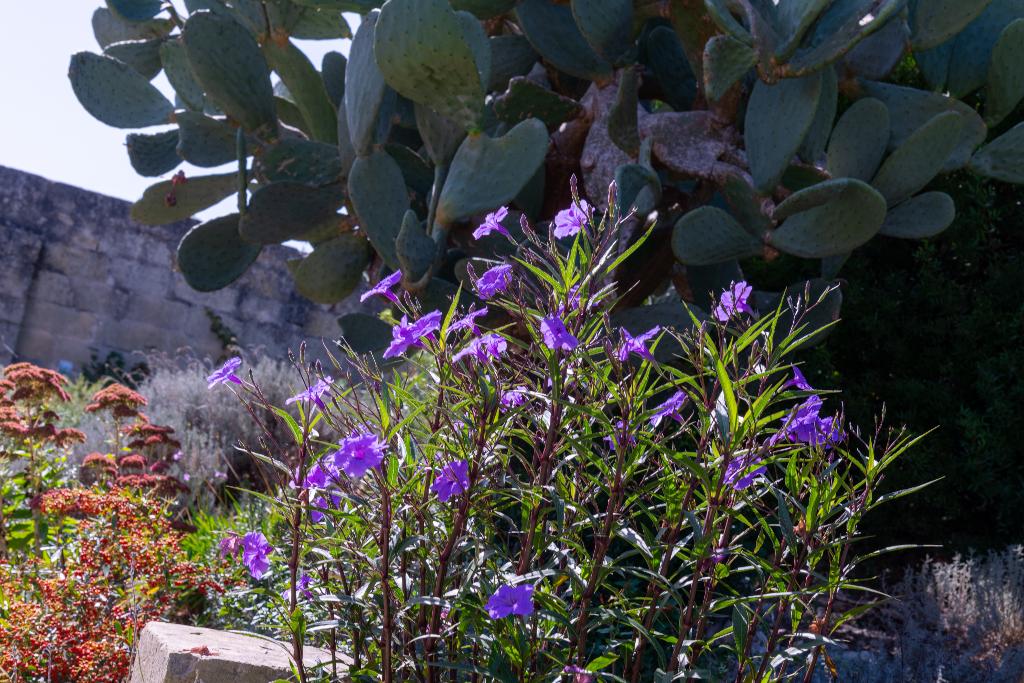 Hotel Masseria Caliani, Italien, Borgagne. Großes 2
