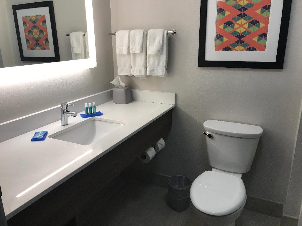 Holiday Inn Express Naples South - I-75