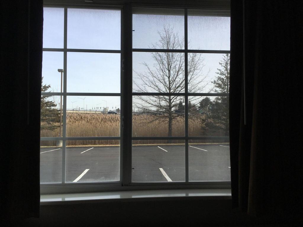 Microtel Inn By Wyndham Albany Airport