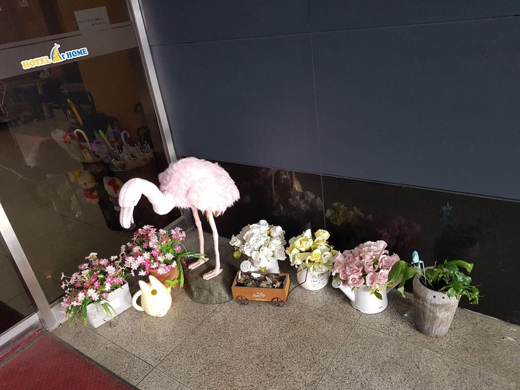 Hotel at Home (ex. Hotel Lees Seoul) - Lobby