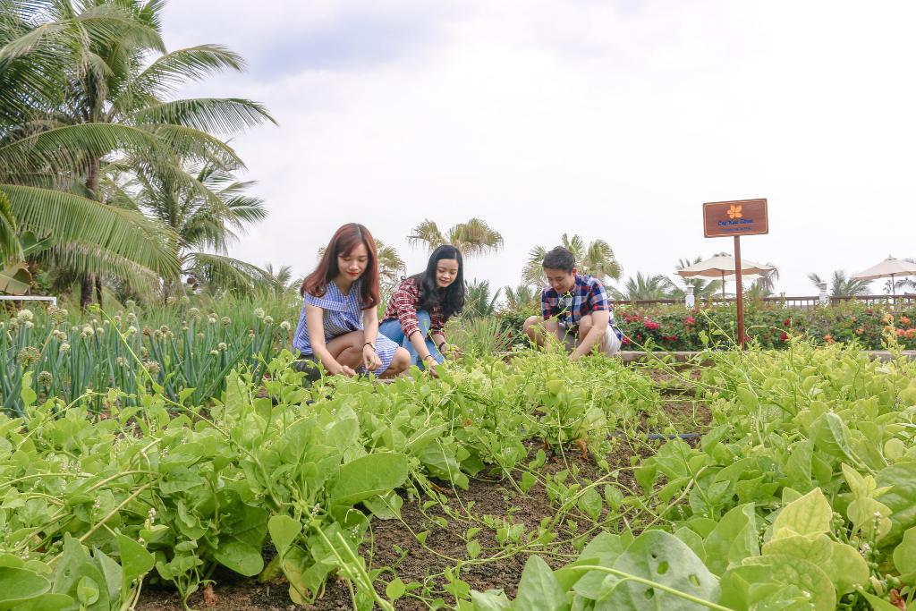 Premier Village Danang Resort Managed by Accor - Sports and Entertainment