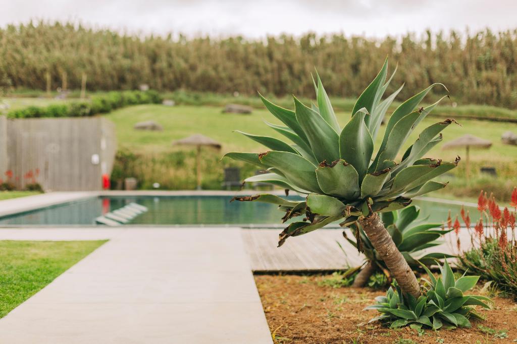 Hotel Santa Barbara Eco Beach Resort, Portugal, Ribeira Grande. Großes 2