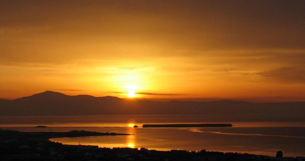 Calme Boutique Hotel Paros- Adults Only