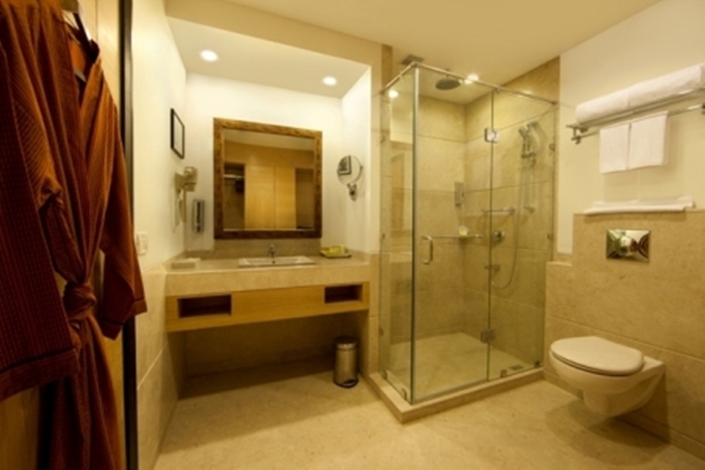 Lemon Tree Premier - Delhi Aerocity