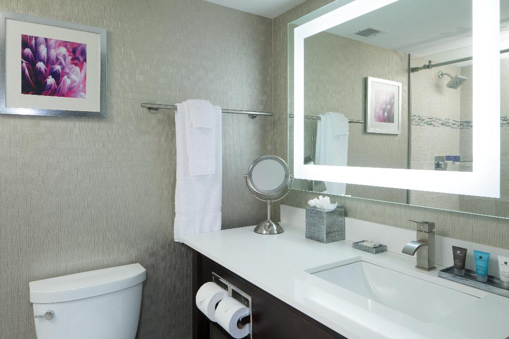 Crowne Plaza Chicago SW - Burr Ridge