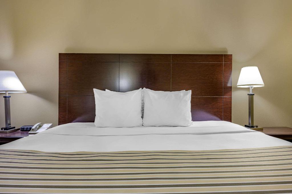 Econo Lodge Inn & Suites Triadelphia - Wheeling