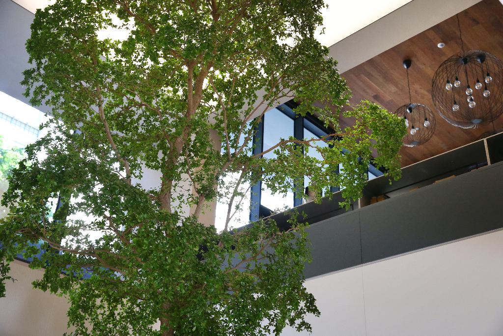Imagem da galeria de Lux Lisboa Park