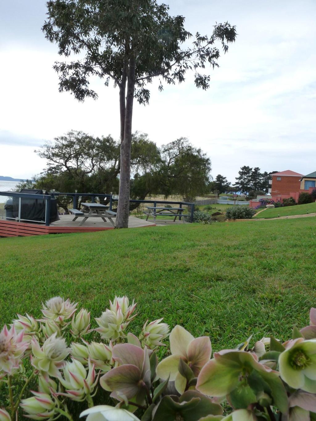 Swansea Motor Inn