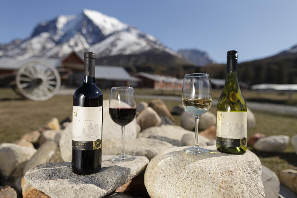 Las Torres Patagonia