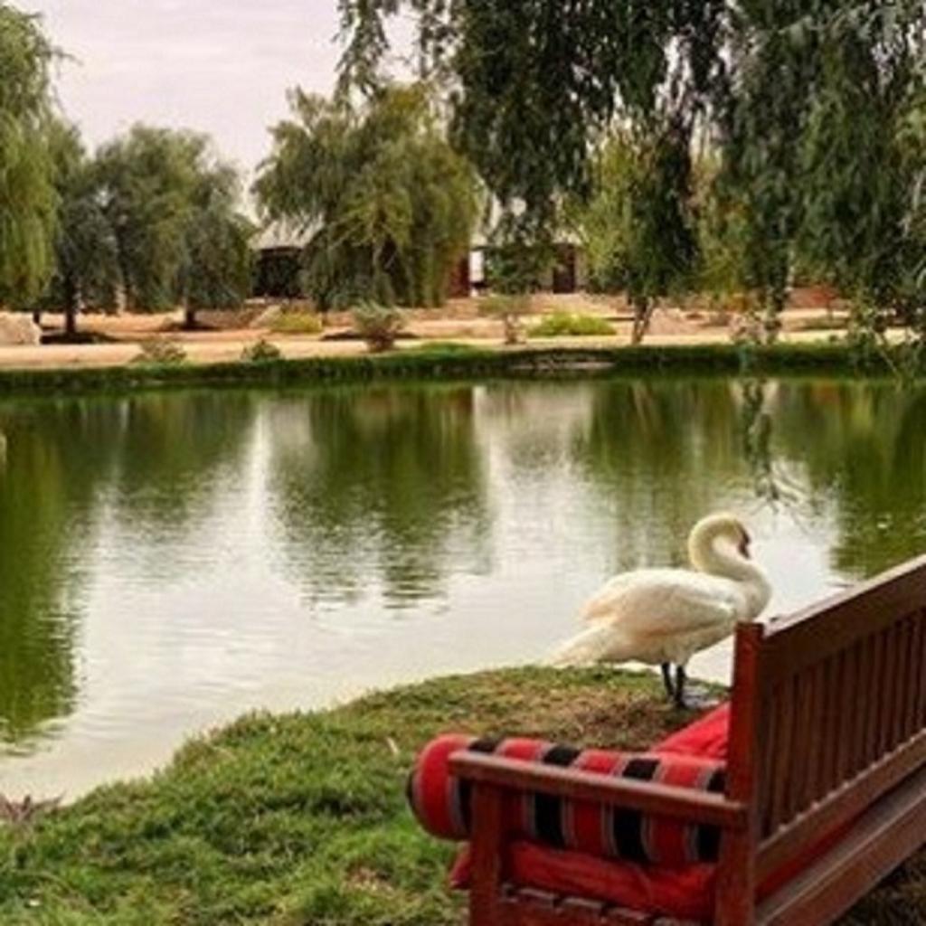 Telal Resort Al Ain - General view
