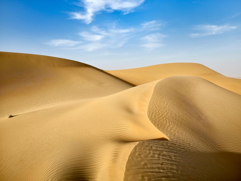 Telal Resort Al Ain - General view