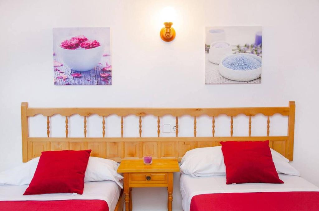 Puet Apartamentos