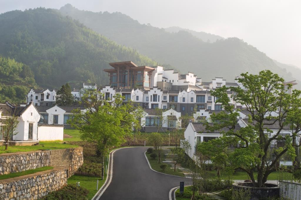 Banyan Tree Huangshan