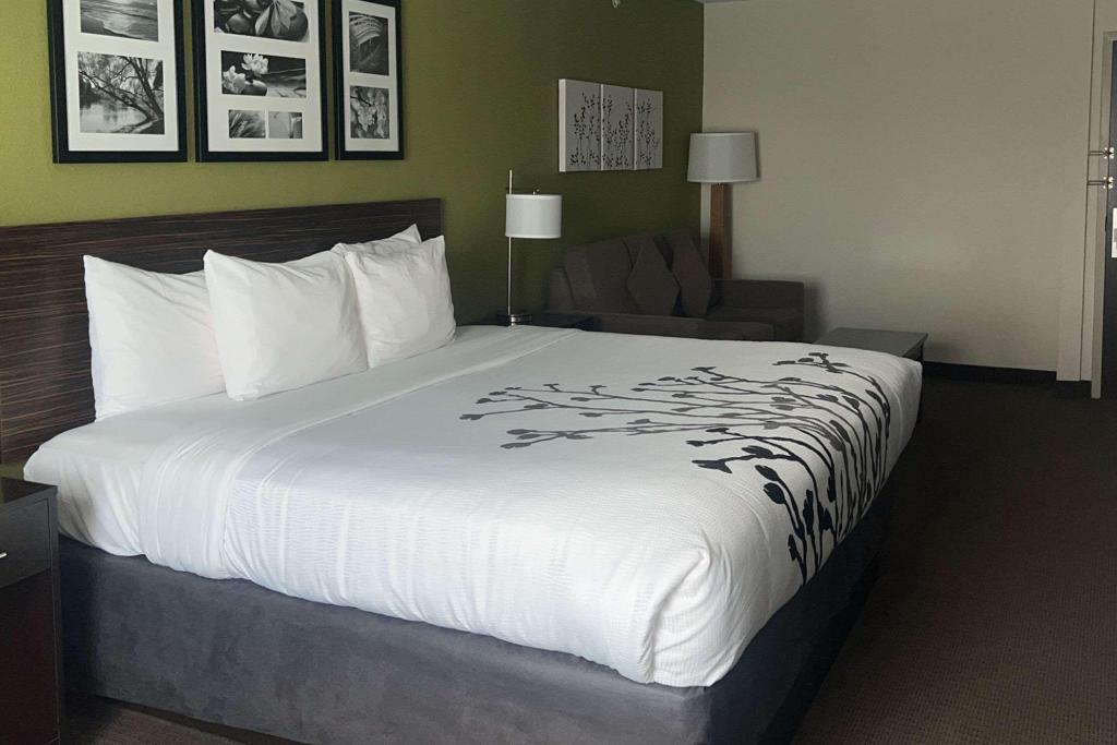 Sleep Inn & Suites Jourdanton - Pleasanton