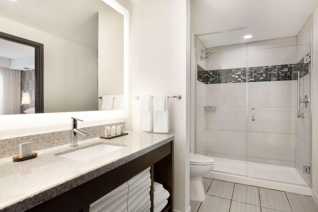 Embassy Suites by Hilton Atlanta NE-Gwinnett Sugar