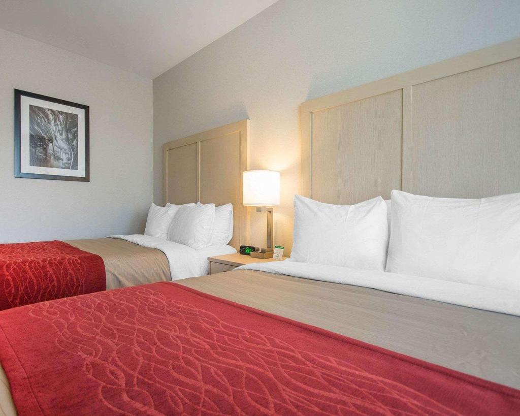 Comfort Inn & Suites Campbell River