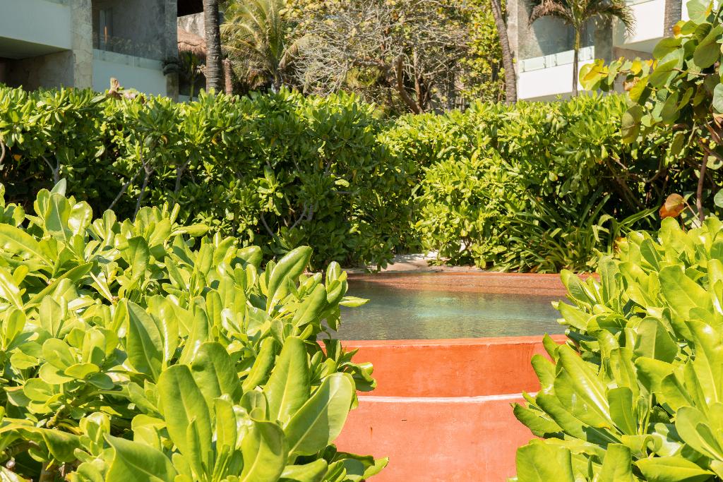 Hotel Tago Tulum by G Hotels, Mexiko, Tulum. Großes 35