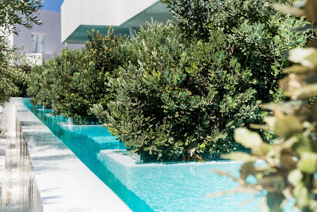 Hotel Mykonos Dove Beachfront Hotel, Griechenland, Platys Gialos. Großes 1