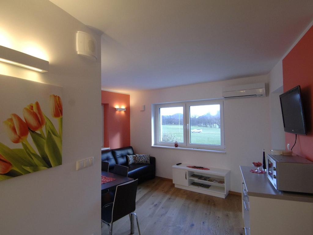 Apartmaji & wellness Skok