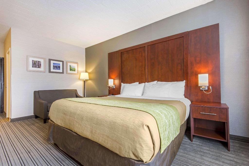 Comfort Inn & Suites Collingwood