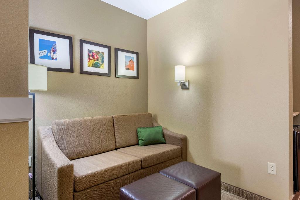 Comfort Suites University