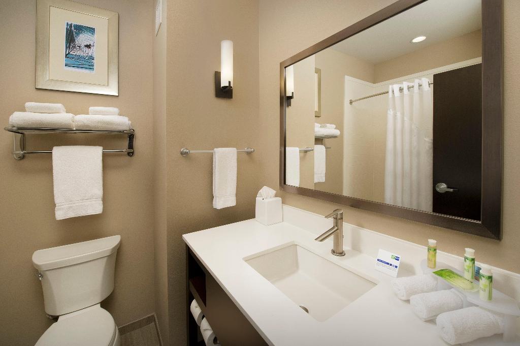 Holiday Inn Express and Suites Waco South