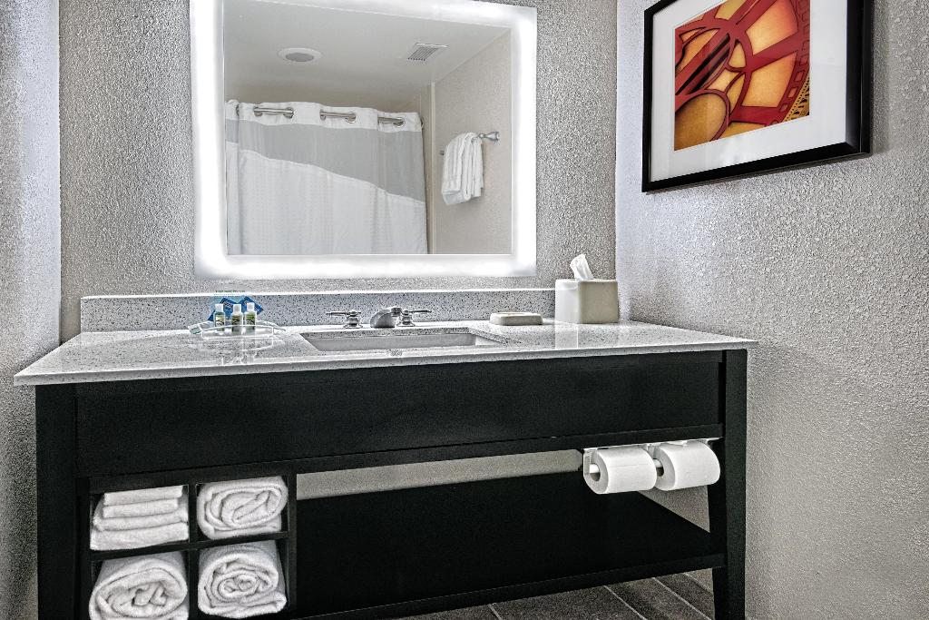 Holiday Inn Hotel and Suites College Station Aggie