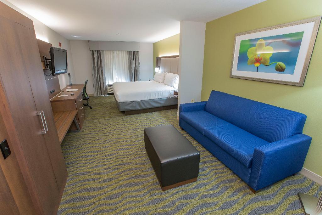 Holiday Inn Express and Suites Mcdonough