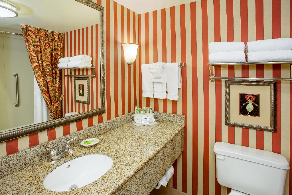 Holiday Inn Express and Suites Bloomington