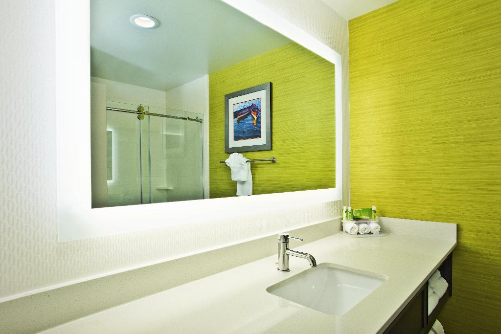 Holiday Inn Express and Suites Ann Arbor West