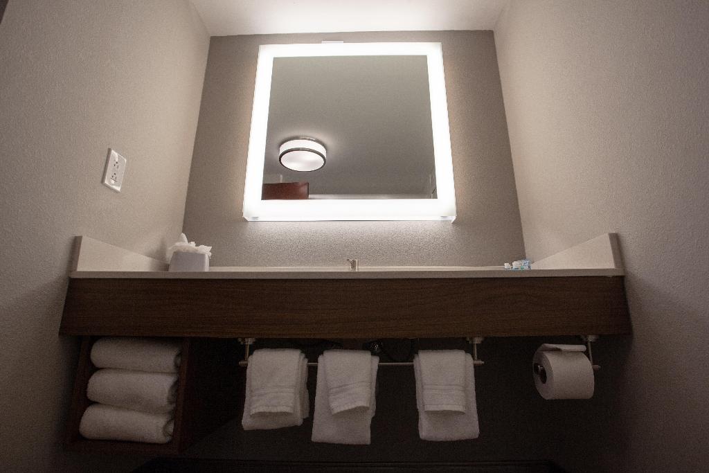 Holiday Inn Express and Suites Atlanta N Perimeter