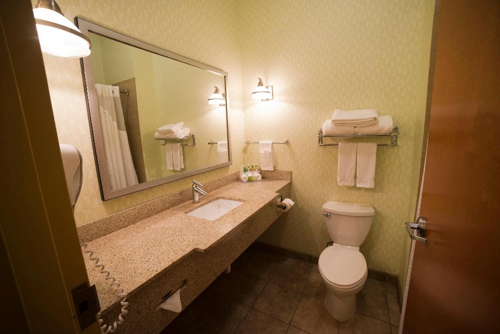 Holiday Inn Express and Suites Atlanta East Lithon