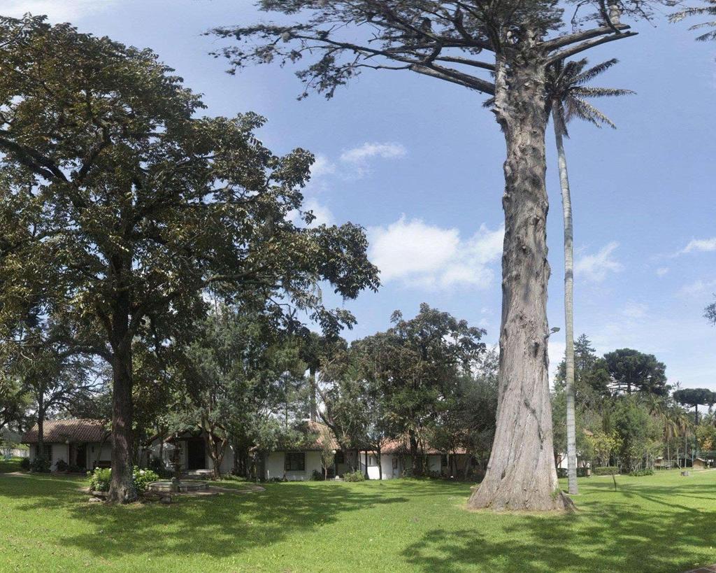 San Jose Quito Airport An Ascend Hotel