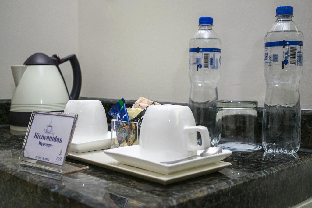 Lyz Business Hotel