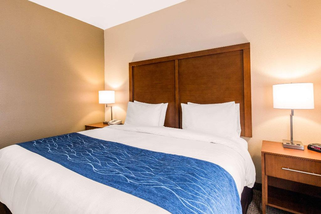 Comfort Inn & Suites IAH Bush Airport - East