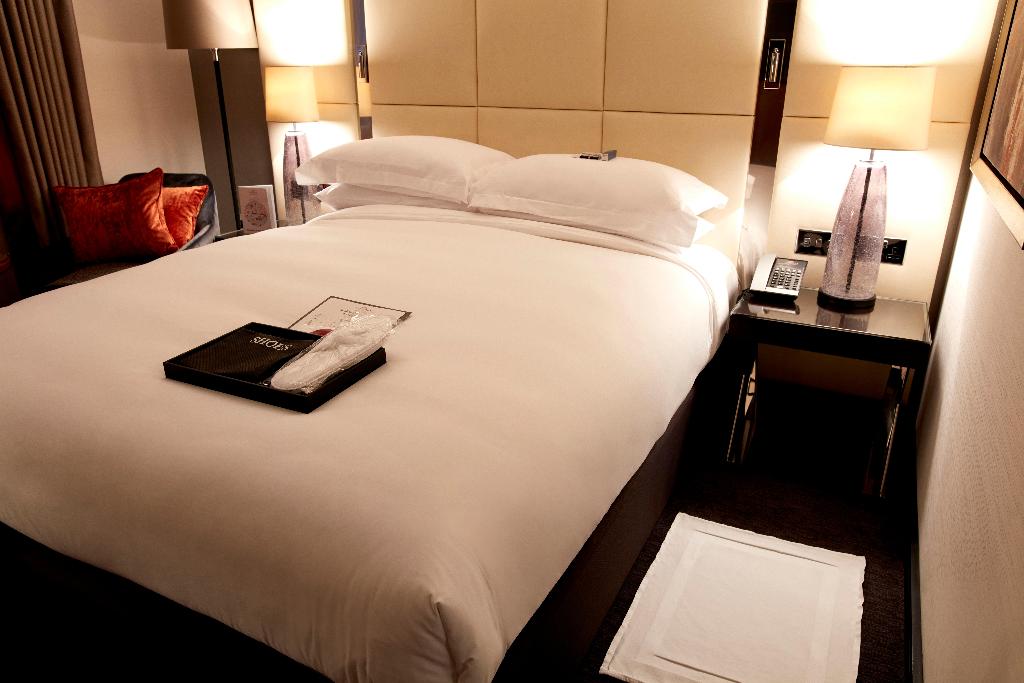 Hyatt Regency London Albert Embankment