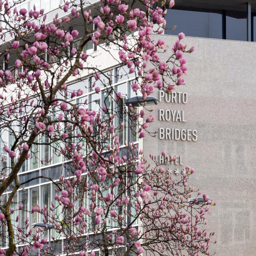 Imagem da galeria de Porto Royal Bridges Hotel