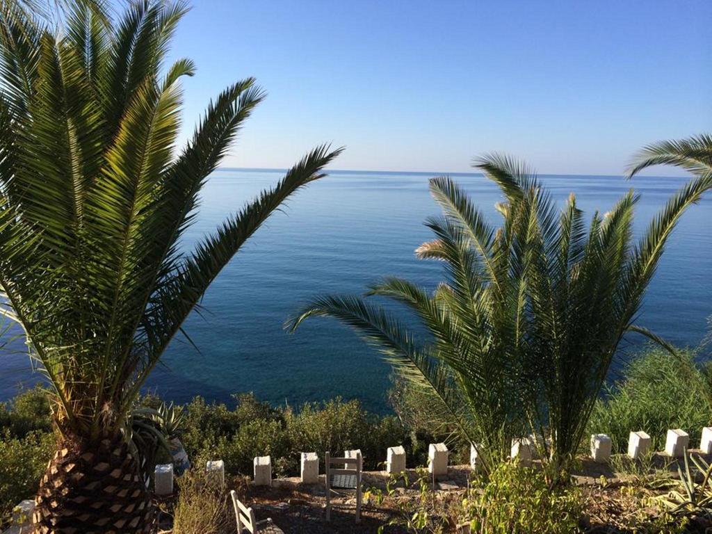 Elenas Beach Garden by Estia