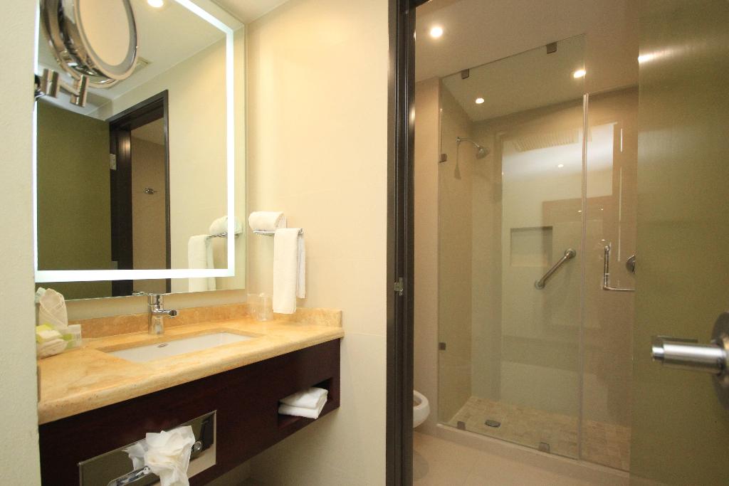 Holiday Inn Leon