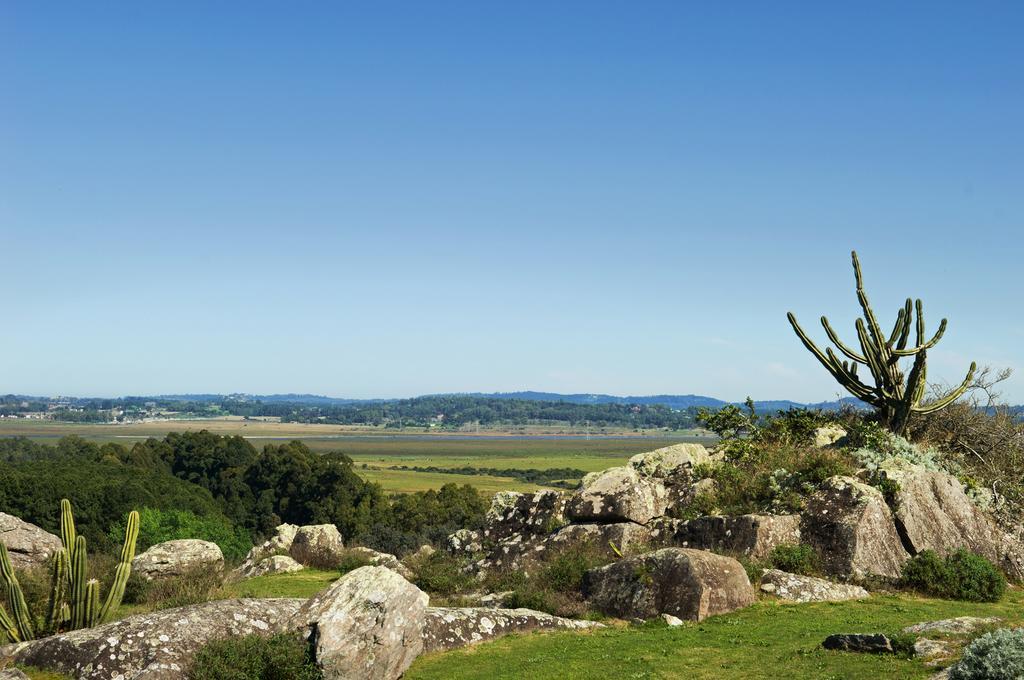 Fasano Punta Del Este