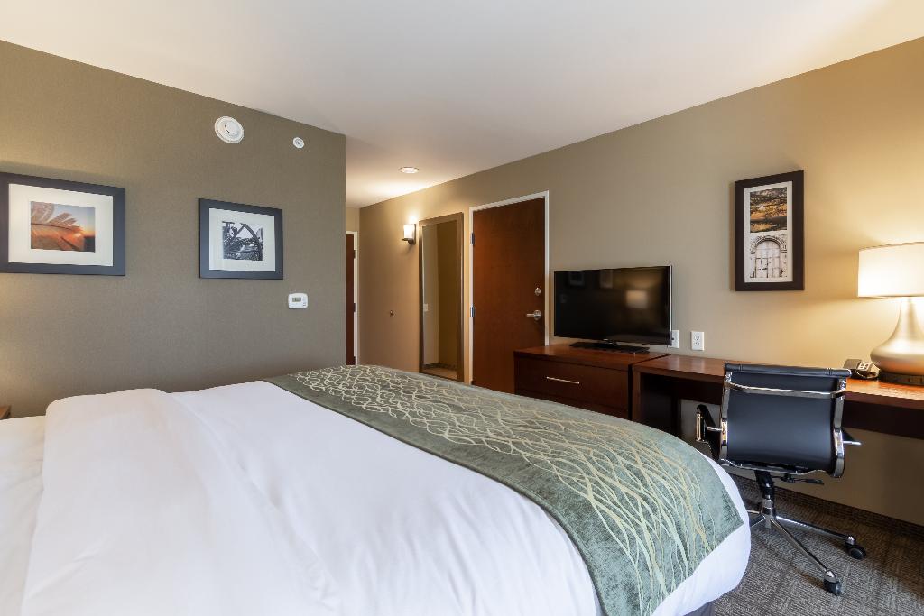 Comfort Inn & Suites - Harrisburg Airport - Hershe