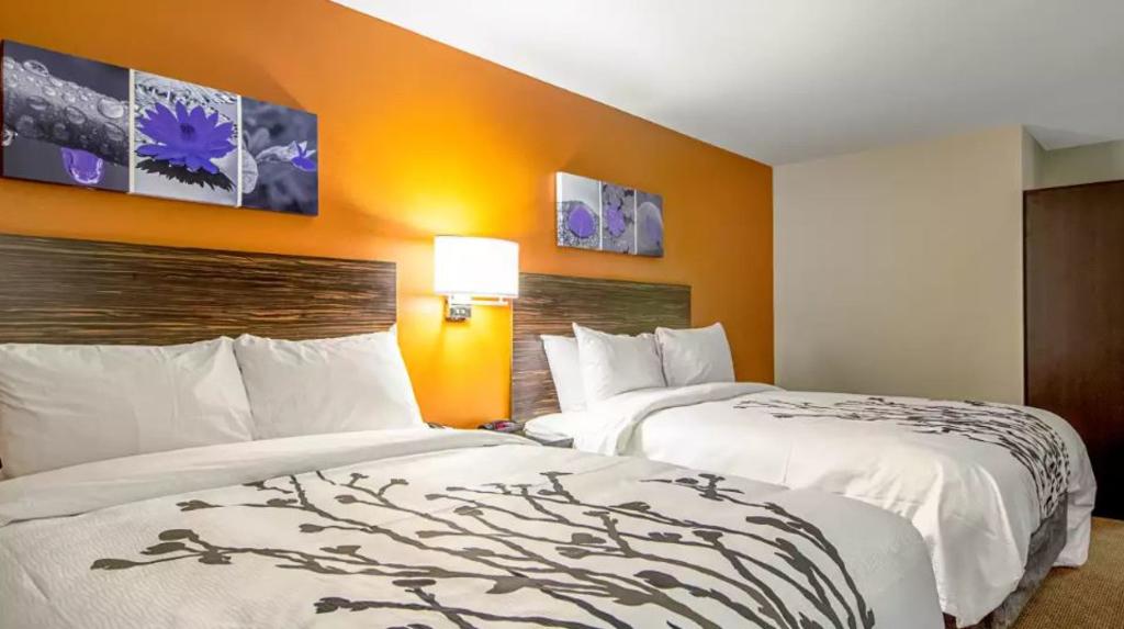 Sleep Inn Geismar - Gonzales