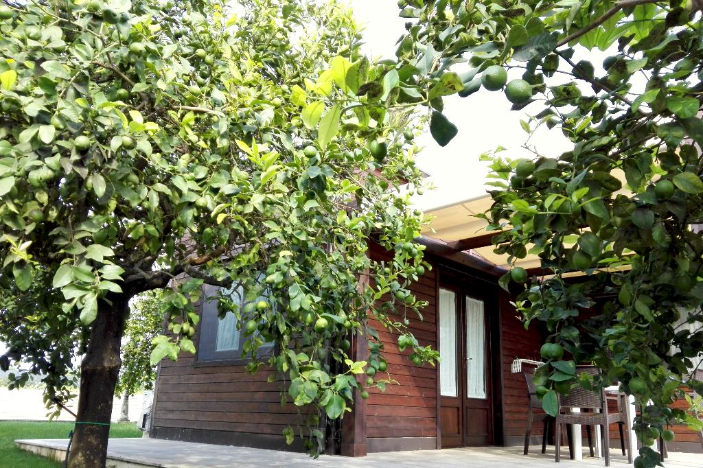 Agriturismo Terra dei Limoni